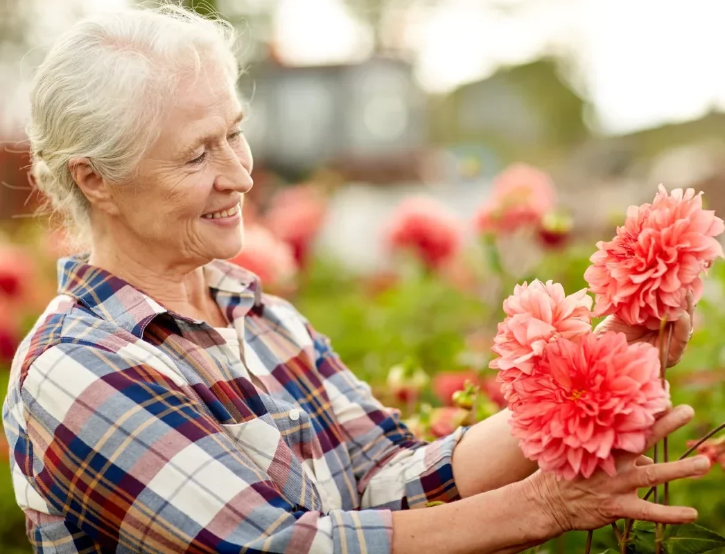 senior woman picking the flowers at the community garden